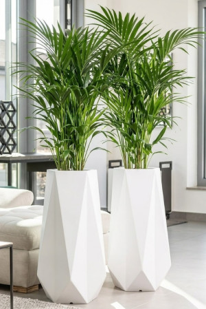  Donica wysoka Siena, biała, na balkon, do salonu, wysokość 75 cm