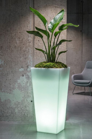  Wysoka donica podświetlana Monumo Slim Line M Light żarówka
RGB H:110