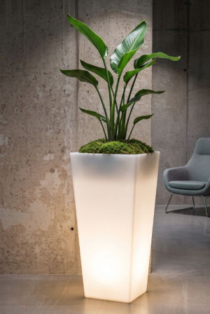  Wysoka donica podświetlana Monumo Slim Line M Light barwa
ciepła H:110