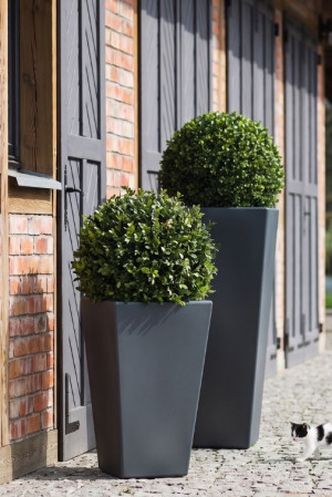  Zestaw 2 Geometrycznych Donic Monumo Slim Line S & M
antracyt z wewnętrzną półką