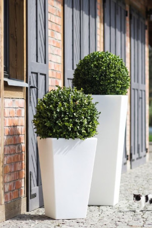  Zestaw 2 Geometrycznych Donic Monumo Slim Line S & M
białych z wewnętrzną półką