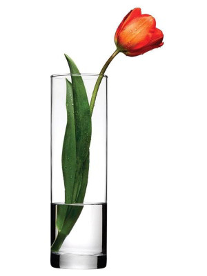 Wazon szklany (26,5 cm) Flora Pasabahce