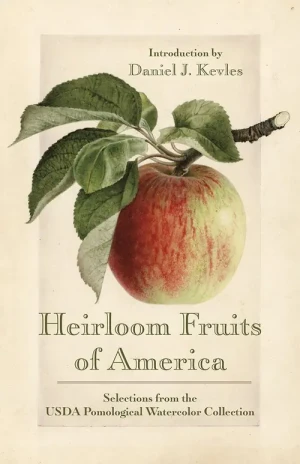 Heirloom Fruits of America - Kevles Daniel J. - książka