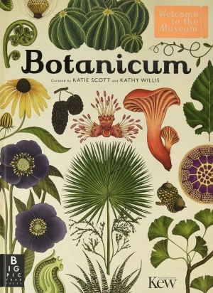 Botanicum - Kathy Willis - książka