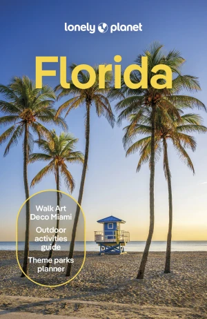 Florida. Lonely planet - Gibb David - książka