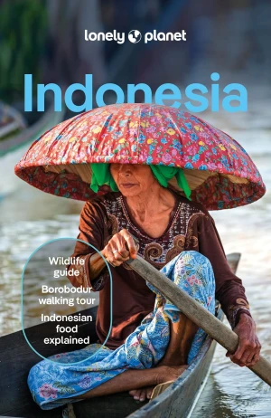 Indonesia Lonely Planet - Dafaux Marini - książka
