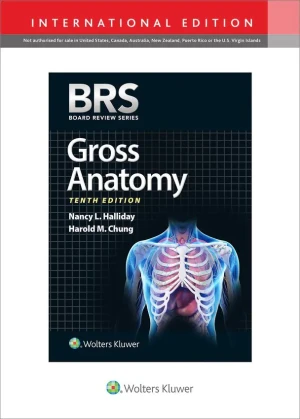 BRS Gross Anatomy - PhD Halliday - książka