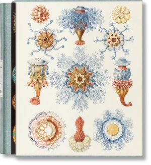 The Art and Science of Ernst Haeckel - Julia Voss - książka