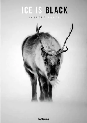 Ice is Black - Baheux Laurent - książka