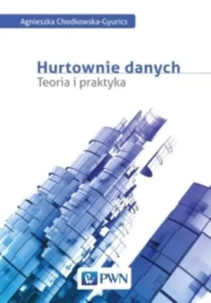 Hurtownia danych. Teoria i praktyka - Chodkowska-Gyurics Agnieszka - książka