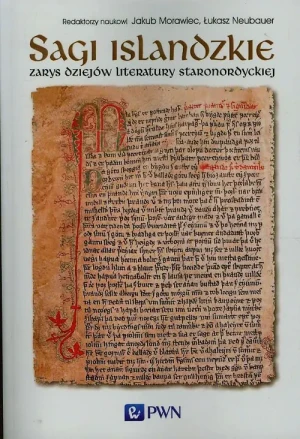 Sagi islandzkie. Zarys dziejów literatury staronordyckiej - Praca zbiorowa - książka