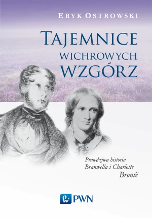Tajemnice wichrowych wzgórz - Ostrowski Eryk - książka