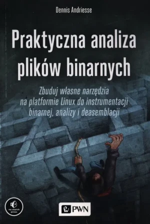 Praktyczna analiza plików binarnych - Dennis Andriesse - książka