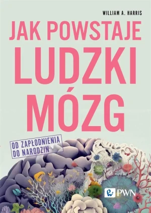 Jak powstaje ludzki mózg. Od zapłodnienia do narodzin - William A. Harris, Anna Binder, Marek Binder - książka