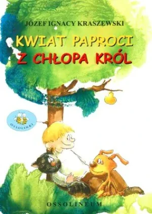 Kwiat paproci Z chłopa król - Michael Schulte-Markwort - książka