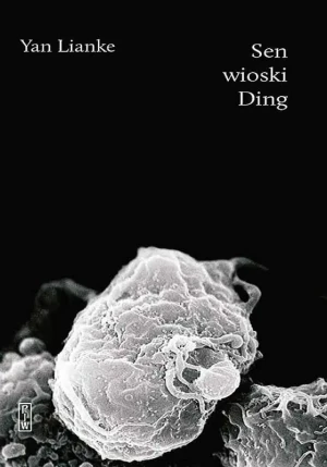 Sen wioski Ding - Yan Lianke - książka