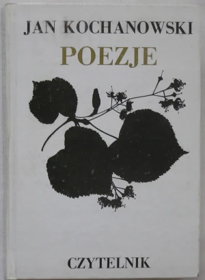 Wojna futbolowa - Kapuściński Ryszard - książka