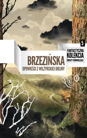 Opowieści z Wilżyńskiej Doliny - Brzezińska Anna - książka