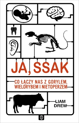 Ja, ssak. Co łączy nas z gorylem, wielorybem i nietoperzem - Liam Drew, Jakub Jedliński - książka
