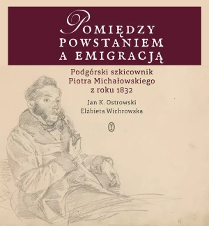 Pomiędzy powstaniem a emigracją - K. Ostrowski Jan, Wichrowska Elżbieta - książka