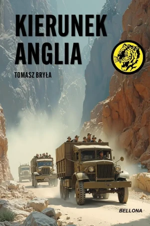Kierunek Anglia - Tomasz Bryła - książka
