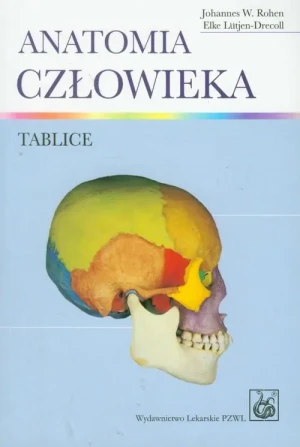 Anatomia człowieka. Tablice - Rohen Johannes W., Lutjen-Drecoll Elke - książka