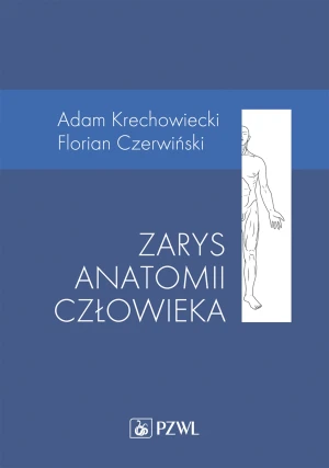 Zarys anatomii człowieka - Adam Krechowiecki - książka