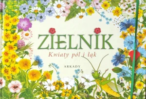 Zielnik. Kwiaty pól i łąk - Agnieszka Rekłajtis-Zawada - książka