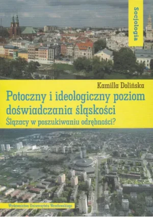 Potoczny i ideologiczny poziom doświadczania śląskości - Dolińska Kamilla - książka
