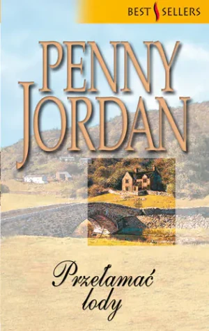 Przełamać lody - Penny Jordan - książka