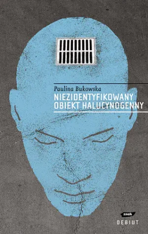Niezidentyfikowany obiekt halucynogenny - Rachel Gillig - książka