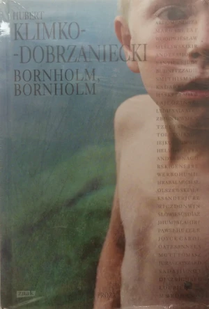Bornholm - Hubert Klimko-Dobrzaniecki - książka