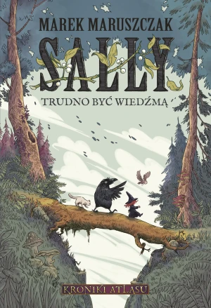 Sally. Trudno być wiedźmą - Marek Maruszczak - książka