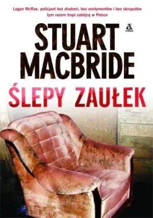 Ślepy zaułek - MacBride Stuart - książka