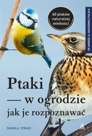 Ptaki w ogrodzie, jak je rozpoznawać - Daniel Straub - książka