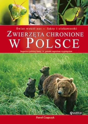 Zwierzęta chronione w Polsce - Czapczyk Paweł - książka
