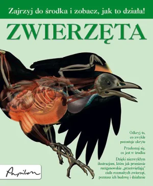 Zwierzęta - Opracowanie zbiorowe - książka