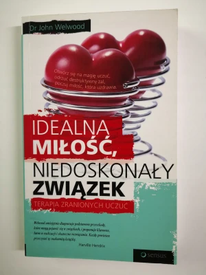Idealna miłość, niedoskonały związek - Welwood John - książka