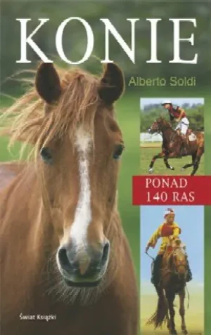 Konie - Soldi Alberto, Alberto Soldi - książka