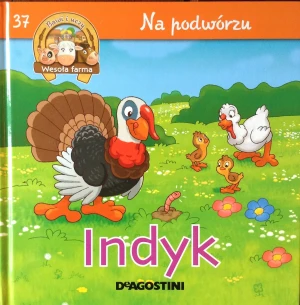 37 Na podwórzu Indyk - Zbiór autorów - książka