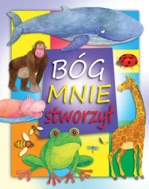 Bóg mnie stworzył - Bethan James - książka