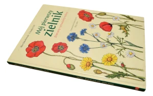 Mój pierwszy zielnik. Zbieramy i utrwalamy rośliny - Sokolowski Ilka - książka