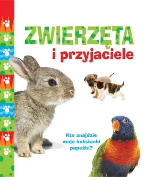 Kto znajdzie? Zwierzęta i przyjaciele - opracowane zbiorowe - książka
