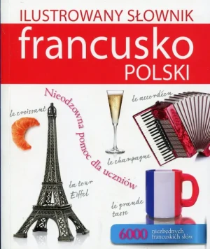 Ilustrowany słownik francusko-polski - Tadeusz Woźniak - książka