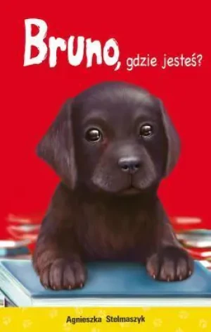 Kto mnie przytuli? Tom 9. Bruno, gdzie jesteś? - Stelmaszczyk Agnieszka - książka