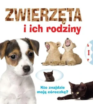 Kto znajdzie? Zwierzęta i ich rodziny - Praca zbiorowa - książka