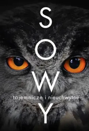 Sowy - tajemnicze i nieuchwytne - Justyna Mrowiec - książka