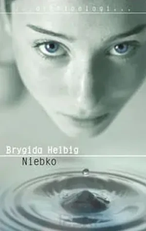 Niebko - Rygida Helbig - książka