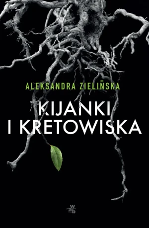 Kijanki i kretowiska - Aleksandra Zielińska - książka