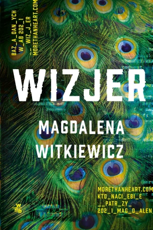 Wizjer - Magdalena Witkiewicz - książka